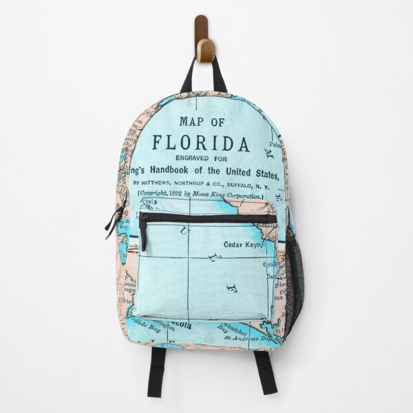 Item preview, Vintage Florida Map (1892) Old Aqua FL Antique Atlas designed and sold by BravuraMedia.