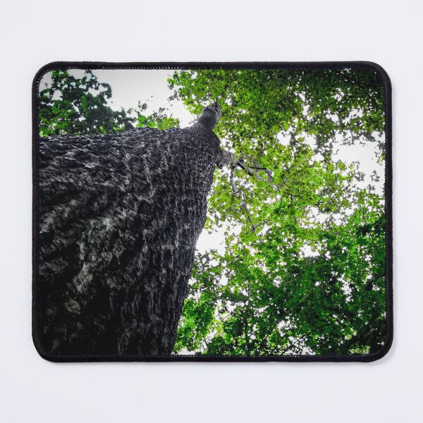 Item preview, Canopy designed and sold by Misfit-Photo.