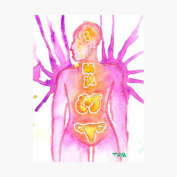 Endocrine System Watercolor Painting Photographic Print