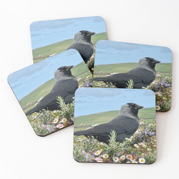 Item preview, Jackdaw designed and sold by Tizz07.