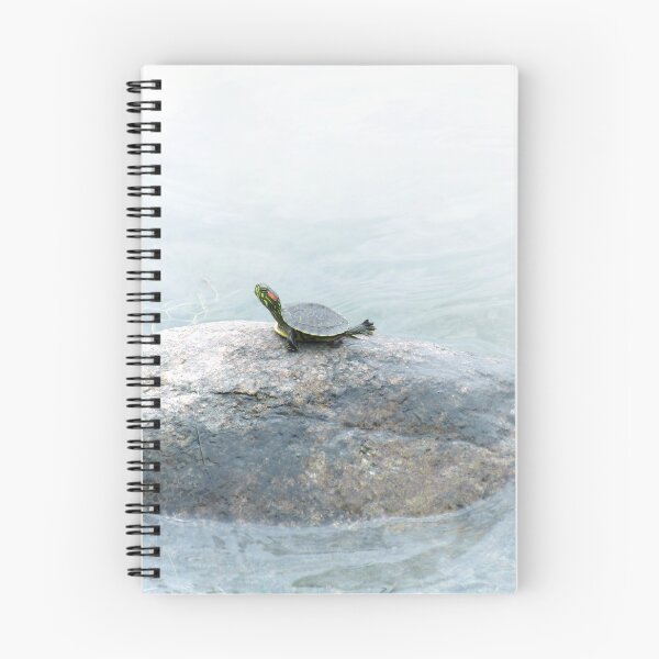 Item preview, Youth, Longevity, and Well-Being designed and sold by Mui-Ling Teh.