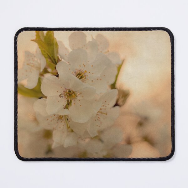 Item preview, Blossoms at Sunset designed and sold by KEnzPhotography.