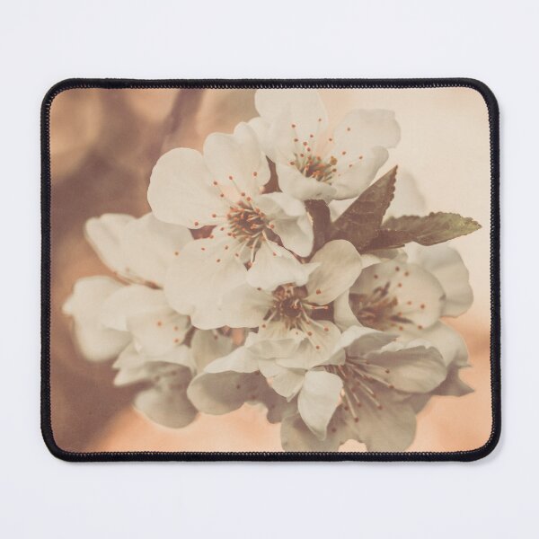 Item preview, Cherry Blossoms in Spring I Michigan Photography designed and sold by KEnzPhotography.