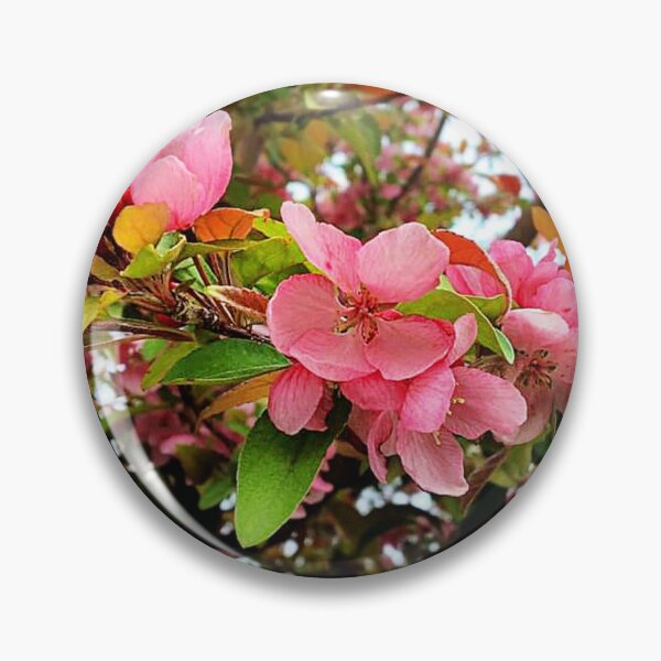Item preview, Apple Blossom Time designed and sold by seventySIXart&photo .