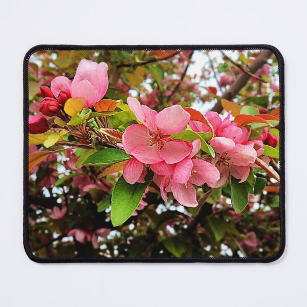 Item preview, Apple Blossom Time designed and sold by seventySIXart&photo .