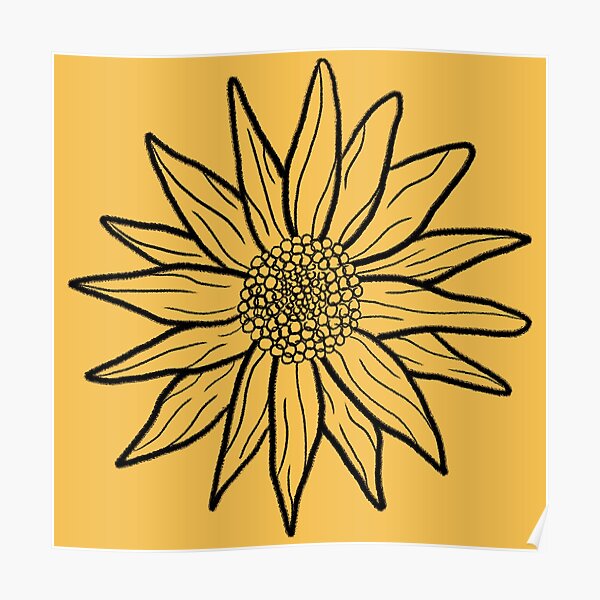 Sunflowers Lineart Poster