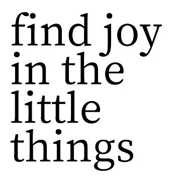 Find Joy in the Little Things Mug