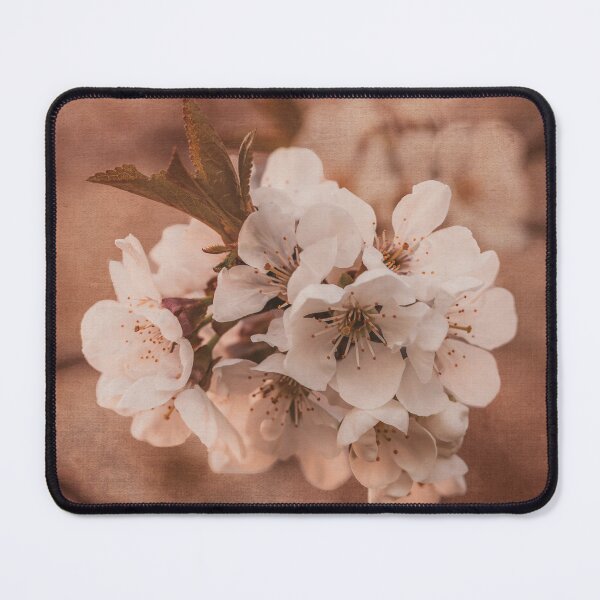 Item preview, Spring Dreams I Cherry Blossoms Photography designed and sold by KEnzPhotography.