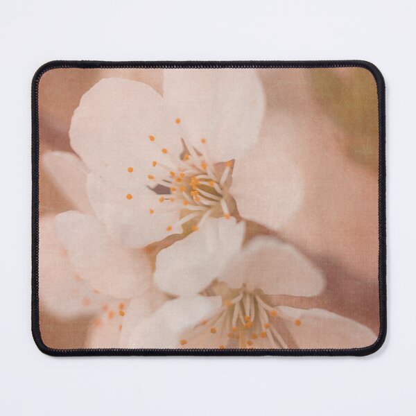 Item preview, Blossoms of Spring I Cherry Tree Photography designed and sold by KEnzPhotography.