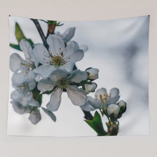 Item preview, Cherry White I Michigan Photography designed and sold by KEnzPhotography.