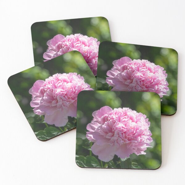 Item preview, Girly Pink Garden Gem - A Singular Peony Bloom designed and sold by Georgia Mizuleva.