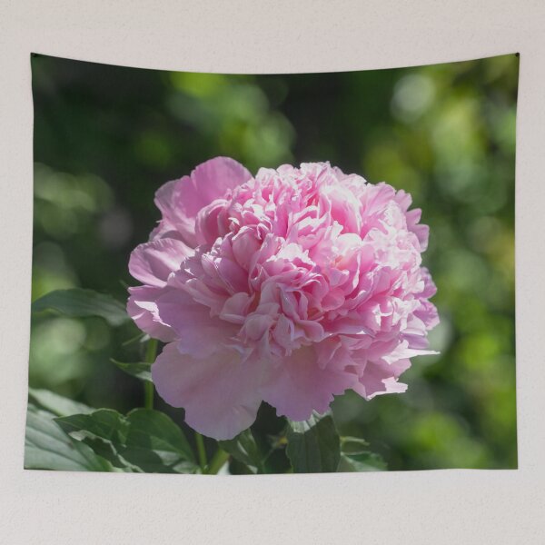 Item preview, Girly Pink Garden Gem - A Singular Peony Bloom designed and sold by Georgia Mizuleva.