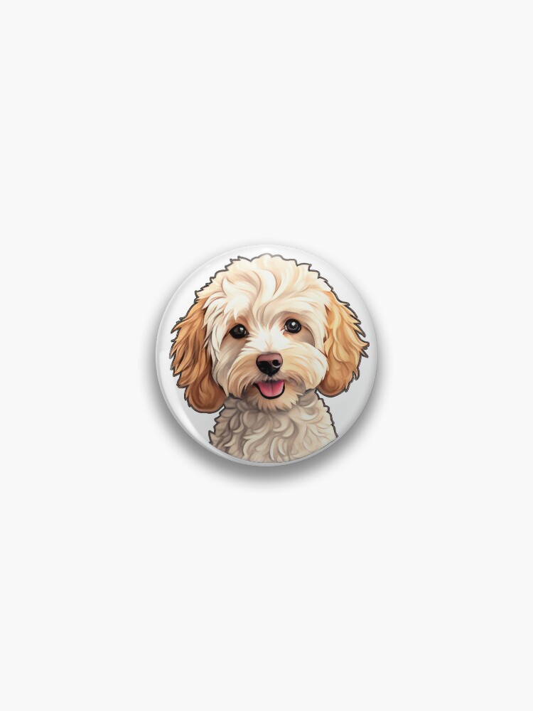 Goldendoodle maltipoo best sale