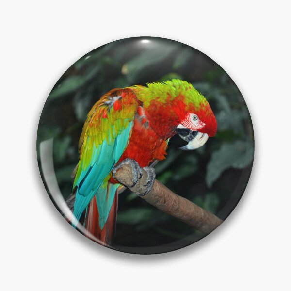 Item preview, Parrot  designed and sold by Savannah Gibbs.