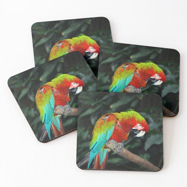 Item preview, Parrot  designed and sold by Savannah Gibbs.