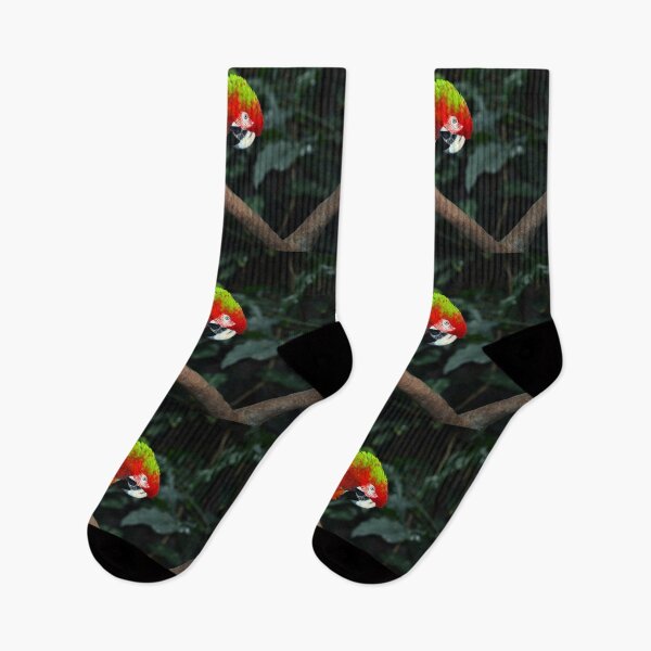 Item preview, Parrot  designed and sold by Savannah Gibbs.
