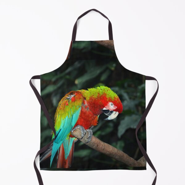 Item preview, Parrot designed and sold by Savannah Gibbs.