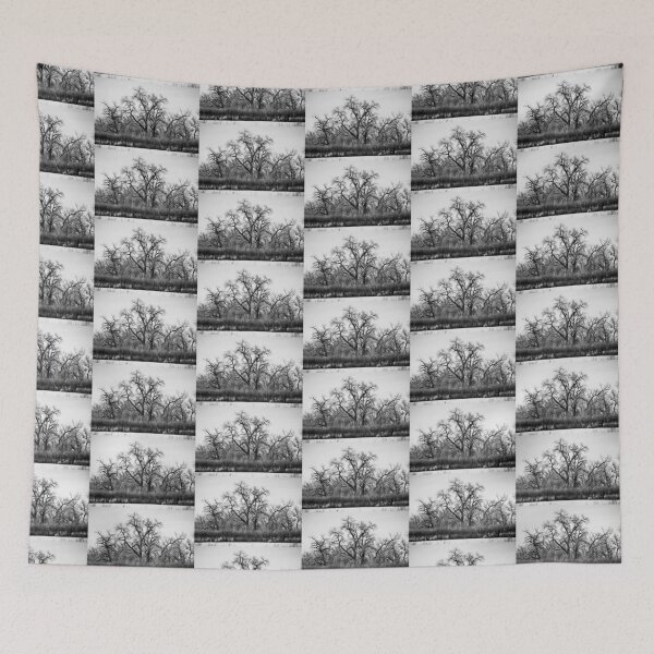 Item preview, Cherry Creek Winter Study 2 BW  designed and sold by Robert Meyers-Lussier.