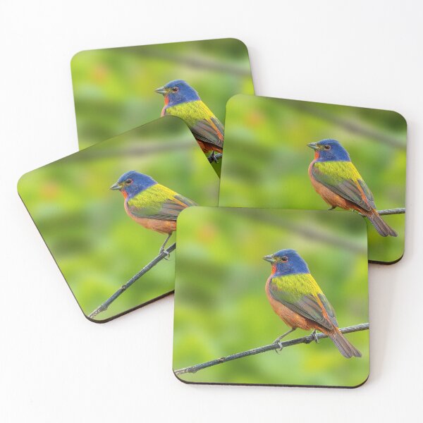 Item preview, A Beautiful Painted Bunting on a small branch designed and sold by Raul Cano.