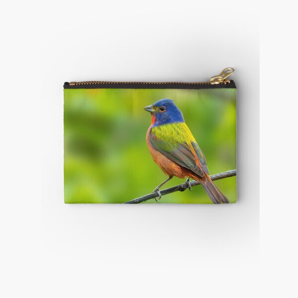 Item preview, A Beautiful Painted Bunting on a small branch designed and sold by Raul Cano.
