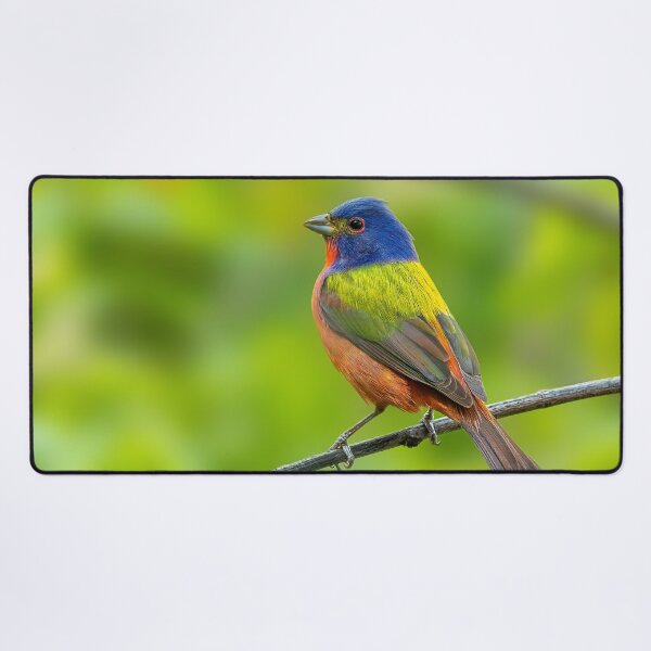 Item preview, A Beautiful Painted Bunting on a small branch designed and sold by Raul Cano.