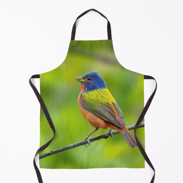 Item preview, A Beautiful Painted Bunting on a small branch designed and sold by Raul Cano.