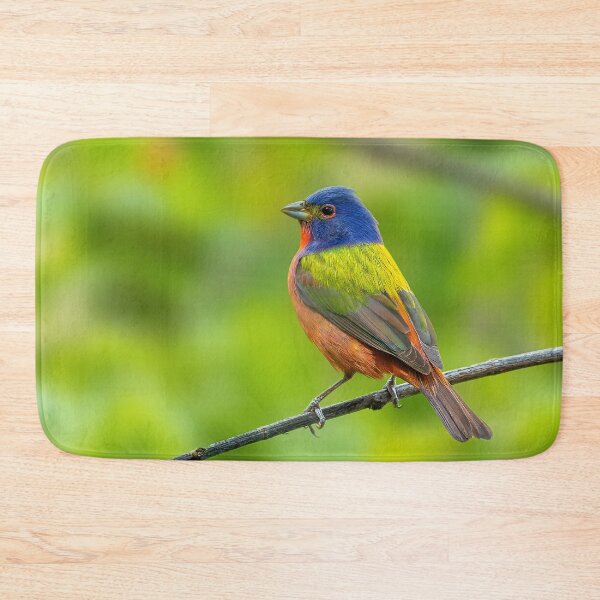 Item preview, A Beautiful Painted Bunting on a small branch designed and sold by Raul Cano.