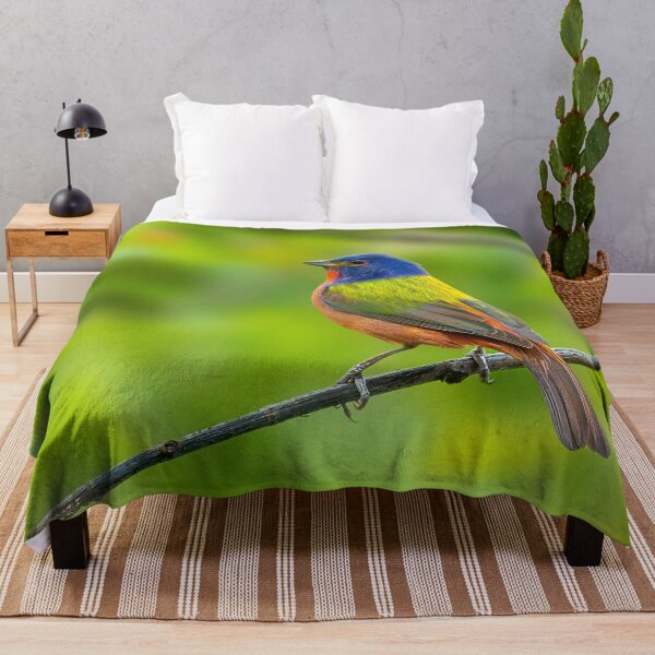 Item preview, A Beautiful Painted Bunting on a small branch designed and sold by Raul Cano.