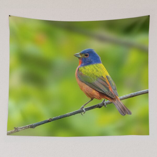 Item preview, A Beautiful Painted Bunting on a small branch designed and sold by Raul Cano.