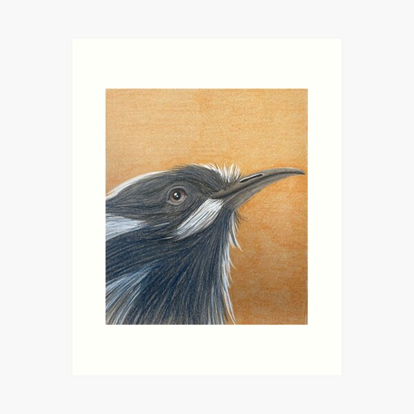 Honey Eater Art Print