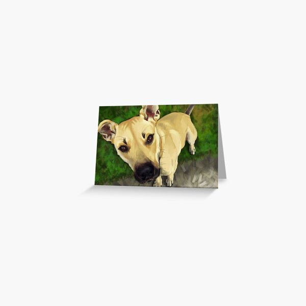 Major Greeting Card