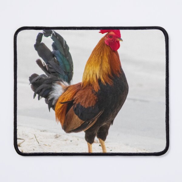 Item preview, Key West Rooster designed and sold by Gemini1987.
