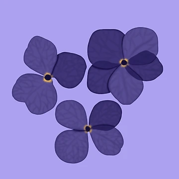 Artwork thumbnail, Violet by RabbitandMoon