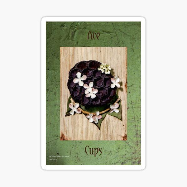Ace of Cups Sticker