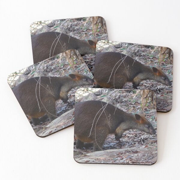 Item preview, Swamp Wallaby in the Bush! designed and sold by Mickangelhere.