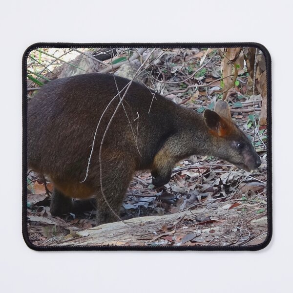Item preview, Swamp Wallaby in the Bush! designed and sold by Mickangelhere.
