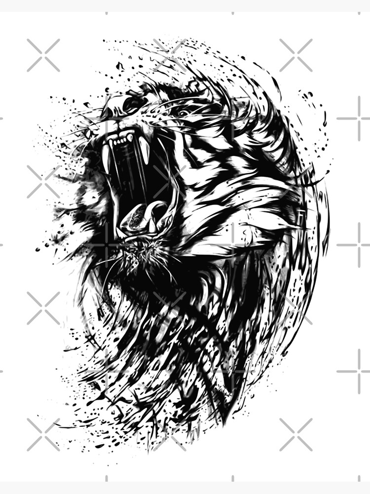 4200 Drawing Of A Tiger Stripes Illustrations RoyaltyFree Vector  Graphics  Clip Art  iStock