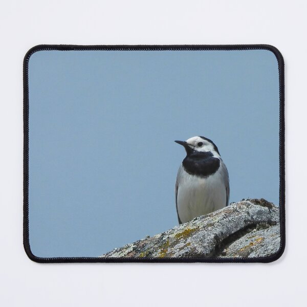 Item preview, Close-up Wagtail designed and sold by undscrsteve.