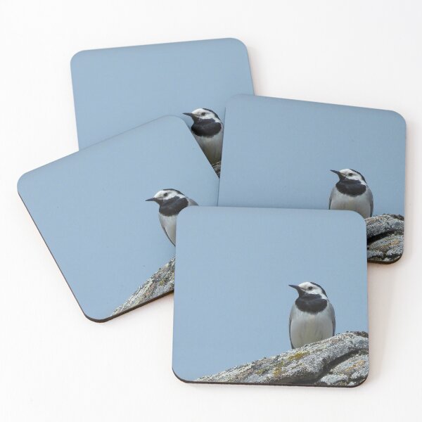 Item preview, Close-up Wagtail designed and sold by undscrsteve.