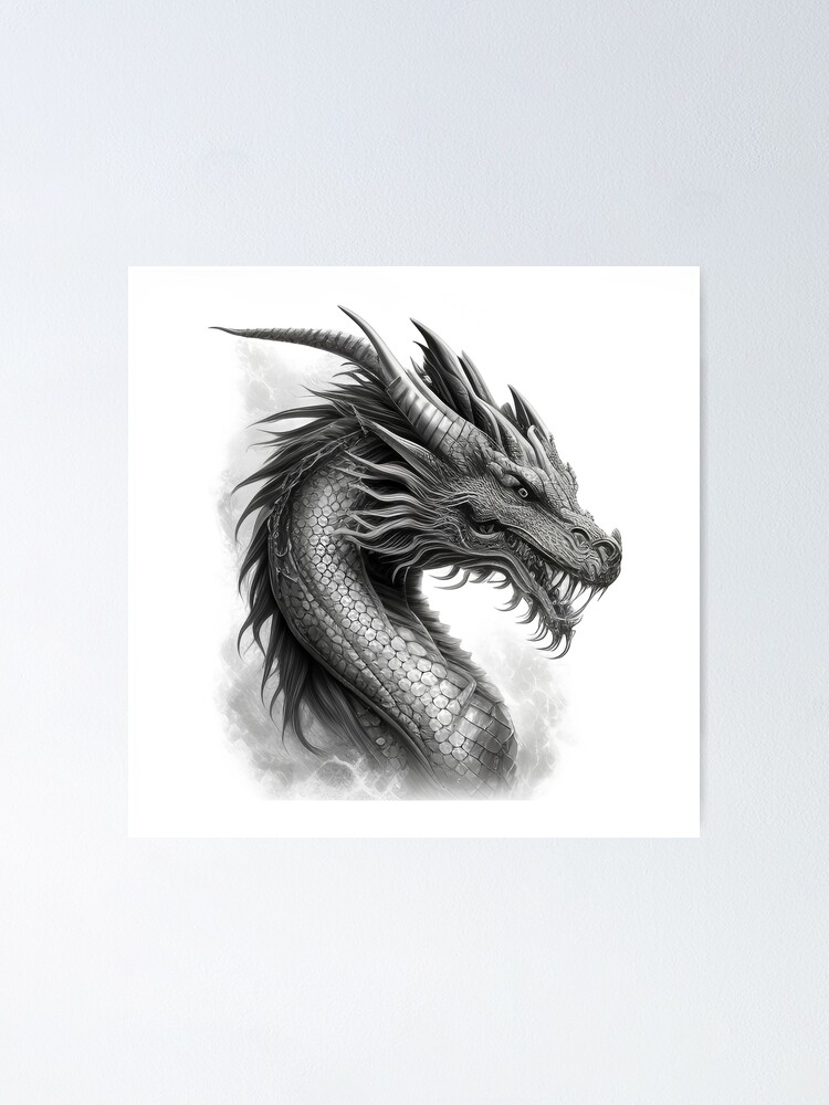 Drawing Of A Dragon - HEBSTREITS