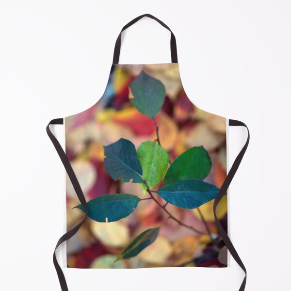 Artikelvorschau, Bunte Herbstblätter auf dem Boden entworfen und verkauft von olena2552.