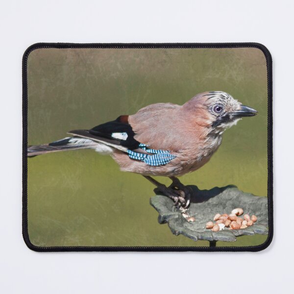 Item preview, Jay designed and sold by Krys Bailey.
