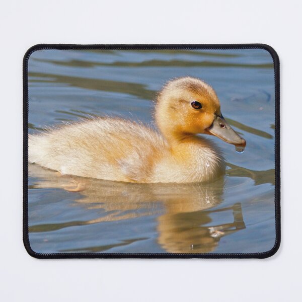 Item preview, Goldie designed and sold by Krys Bailey.