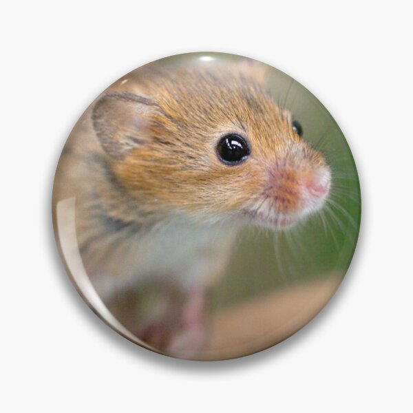 Item preview, Happy Harvest Mouse designed and sold by Krys Bailey.
