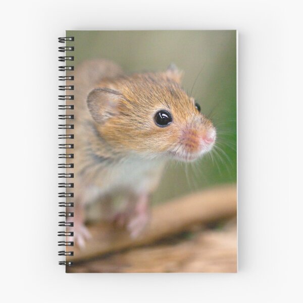 Item preview, Happy Harvest Mouse designed and sold by Krys Bailey.