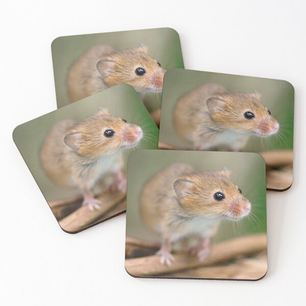 Item preview, Happy Harvest Mouse designed and sold by Krys Bailey.