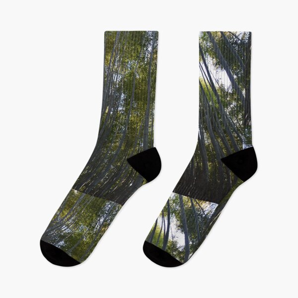 Item preview, Japanese Bamboo Forest Photography designed and sold by Saplett.