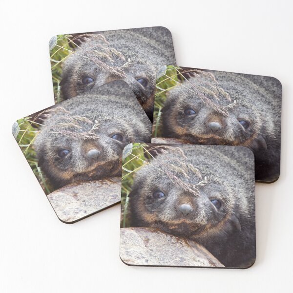 Item preview, Does this disguse work? designed and sold by Krys Bailey.