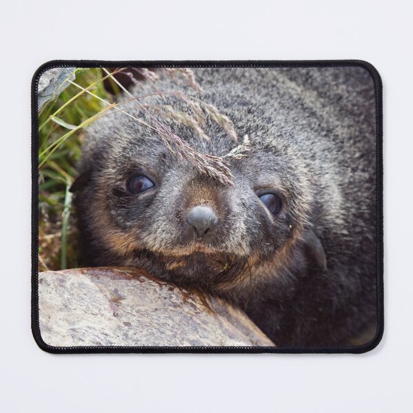 Item preview, Does this disguse work? designed and sold by Krys Bailey.