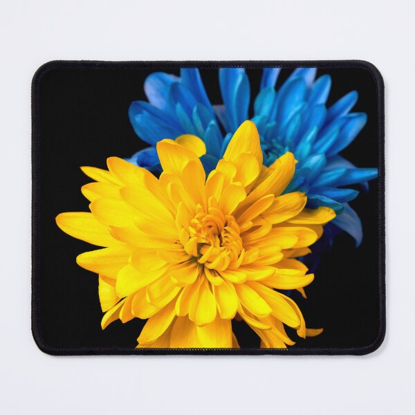 Item preview, Ukrainian chrysanthemums designed and sold by IgorKovalenko.